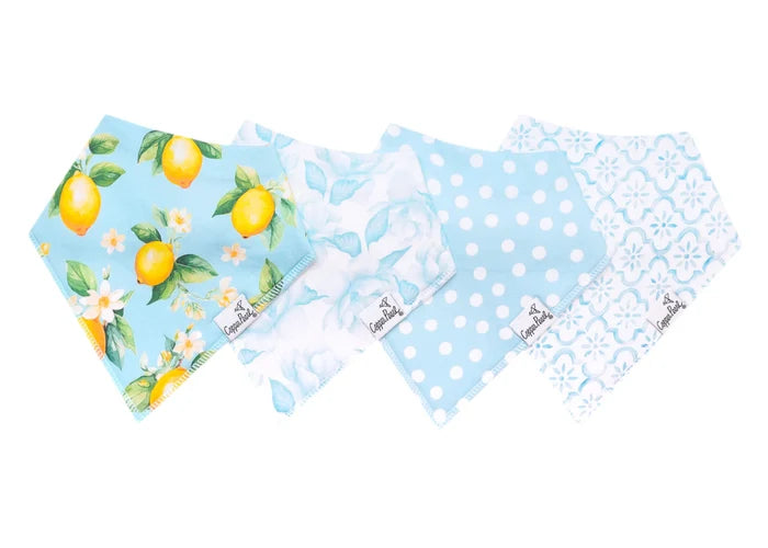 Baby Bandana Bib Set of 4- Melody