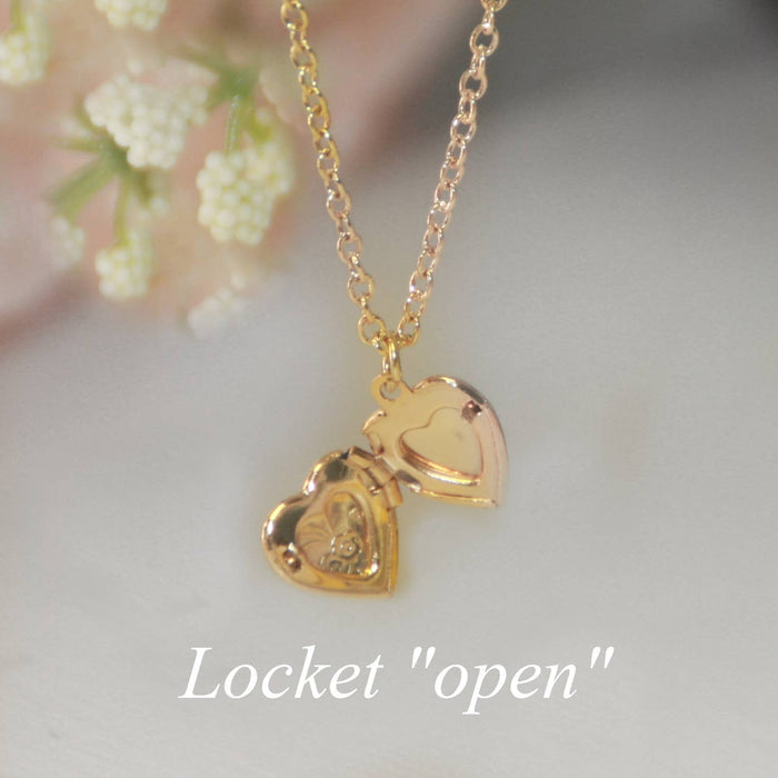 Baby's First Sweet "Heart" Locket Necklace CJ-301