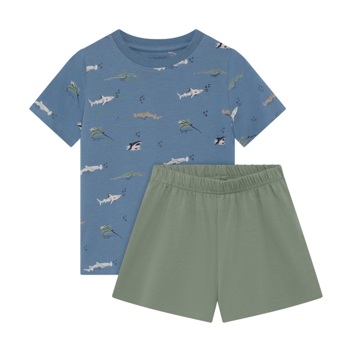 Blue Fish 2-Piece Set