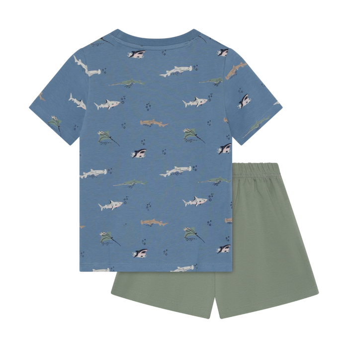 Blue Fish 2-Piece Set