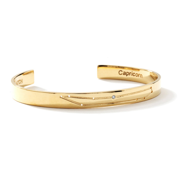 14k Gold Plated / Capricorn