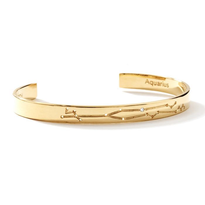 14k Gold Plated / Aquarius