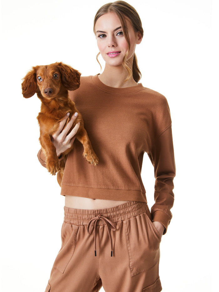 DEX CREWNECK SWEATSHIRT - CAMEL