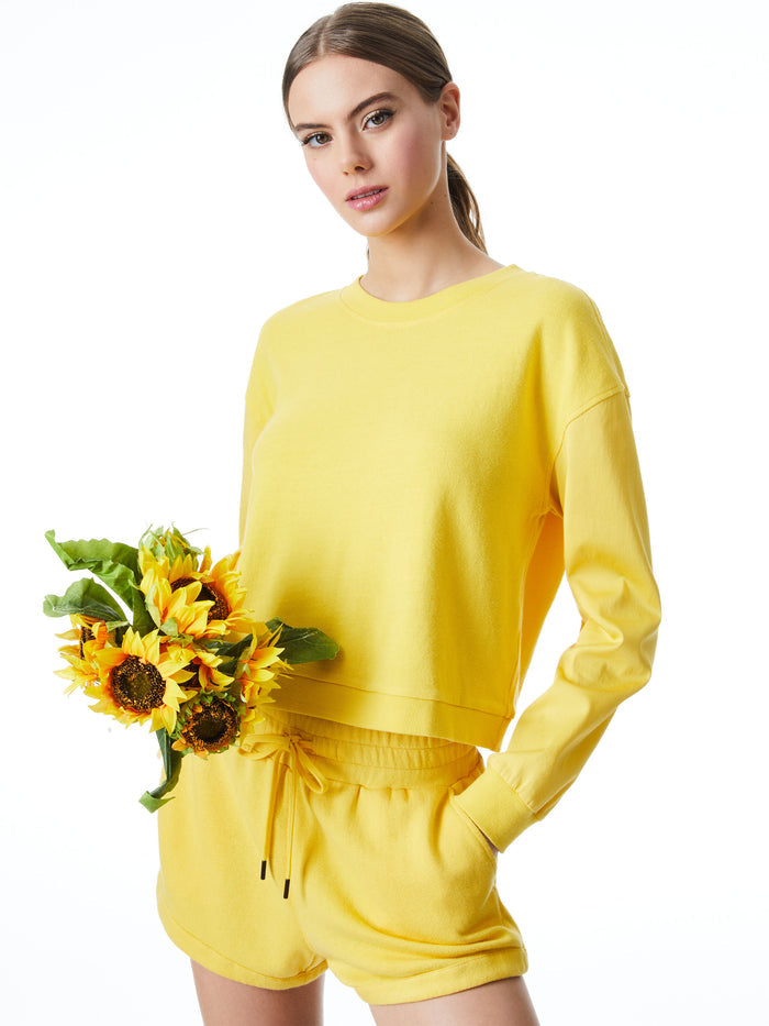 DEX CREWNECK SWEATSHIRT - GOLDEN ROD