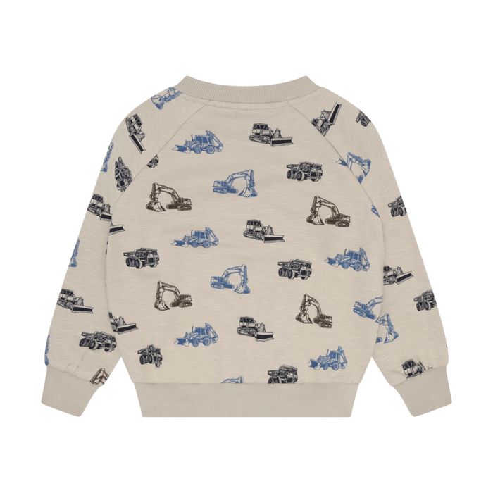 Feather Grey Printed Sweatshirt