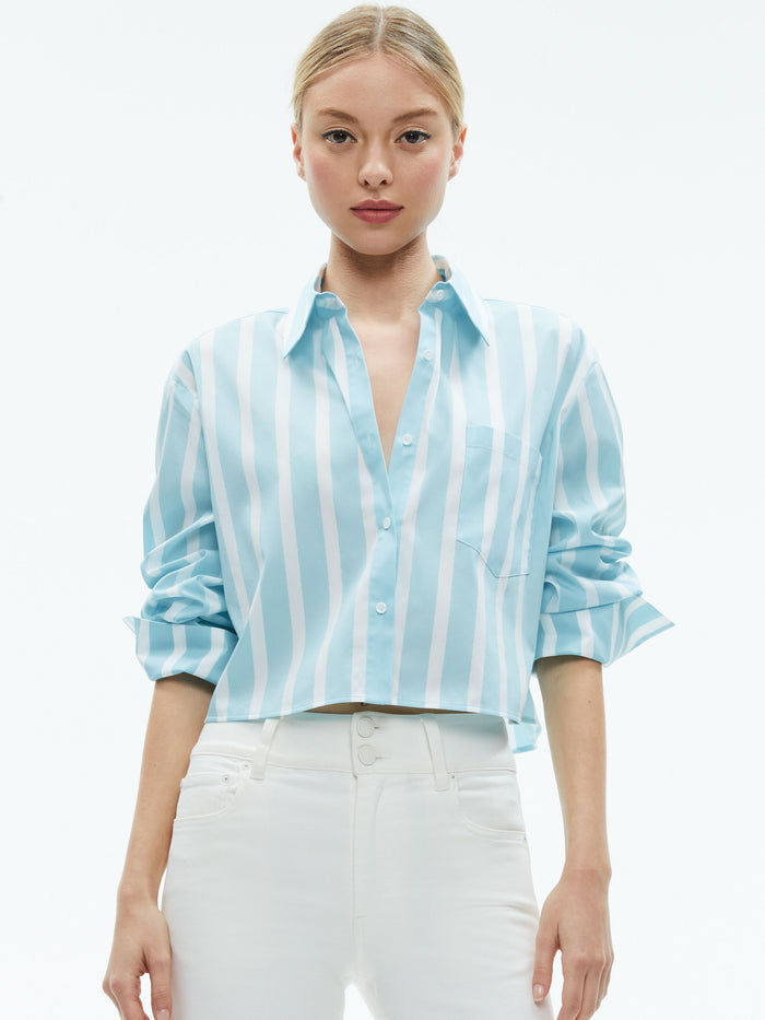 FINELY CROPPED BUTTON DOWN - DREAM STRIPE SPRING SKY