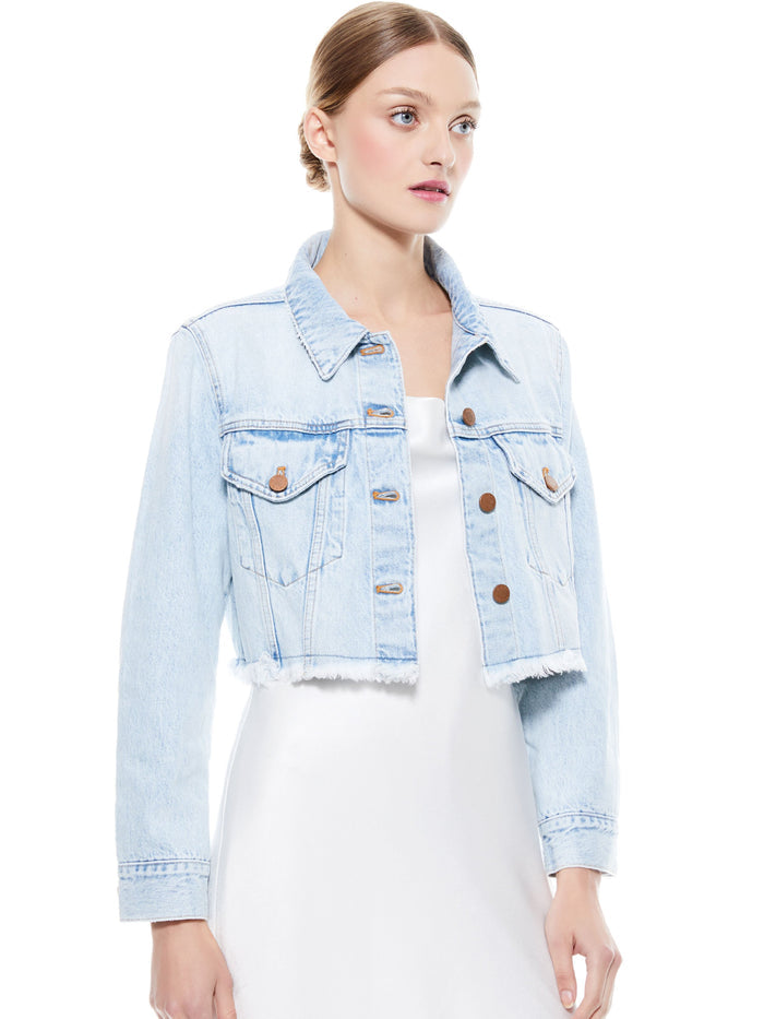 KENDALL CROPPED BOXY JACKET - HONEY HONEY