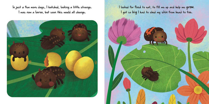 Nature Stories: Little Ladybug Discover an Amazing Story from the Natural World by IglooBooks