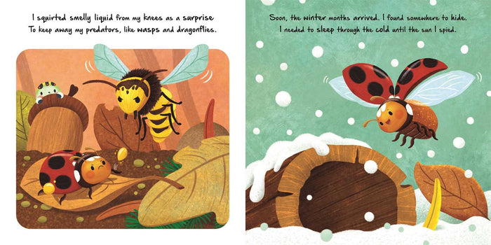 Nature Stories: Little Ladybug Discover an Amazing Story from the Natural World by IglooBooks