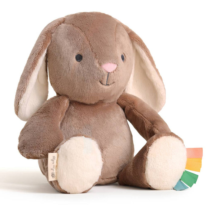 Brown Bunny
