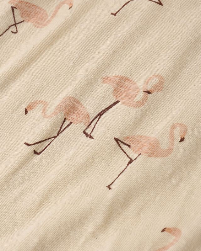 Raegan Set in Flamingo