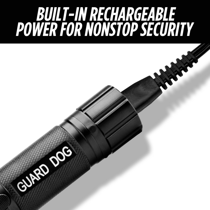 Stun Gun with Flashlight – 160 Lumen and 3-Function Light | Diablo