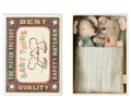 Twins, Baby Mice in Matchbox