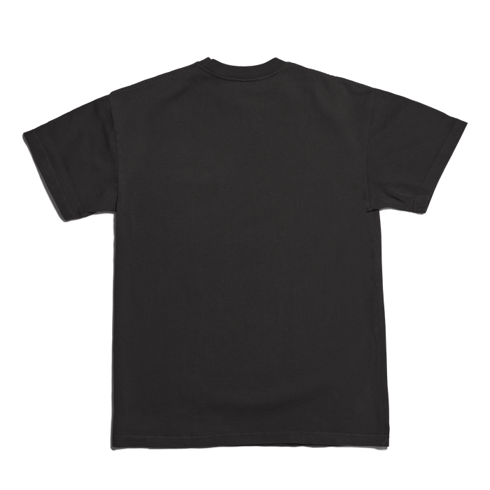 Dagne Dover Short Sleeve Tee in onyx seen from the back.